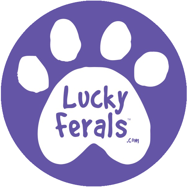 Lucky Ferals Shop